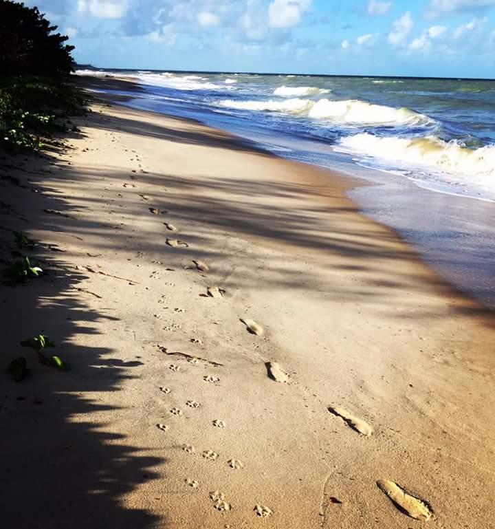 Vivenda Peixe Pequeno Hotel Cumuruxatiba Luaran gambar